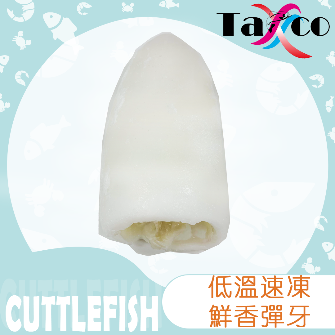 原隻特大墨魚筒