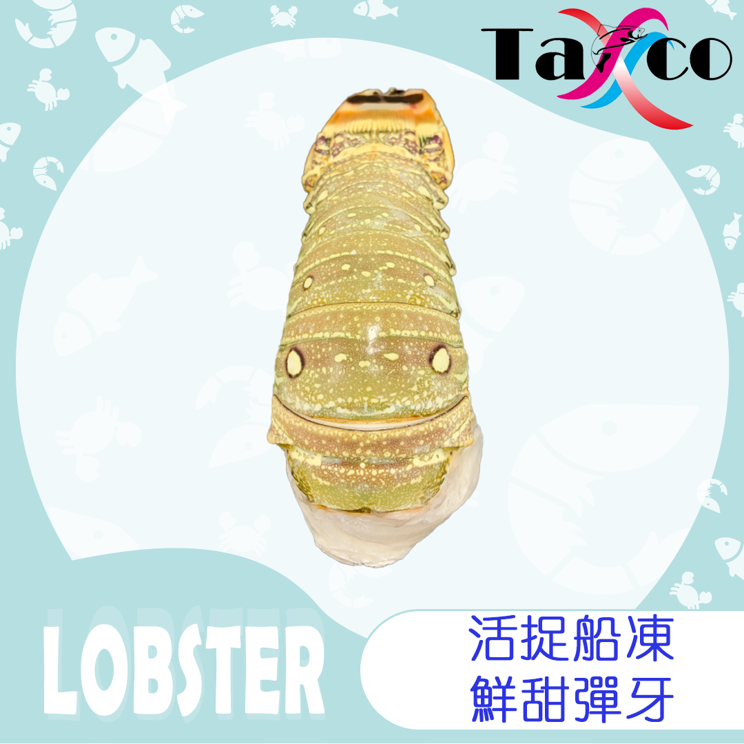 巴西龍蝦尾 (350-400克)