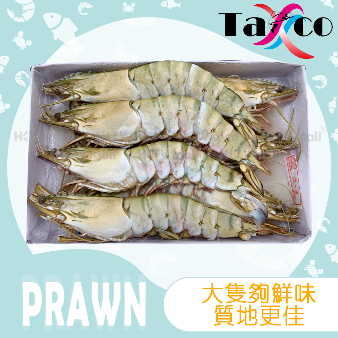 越南特大原隻虎蝦皇(6-8隻/盒)