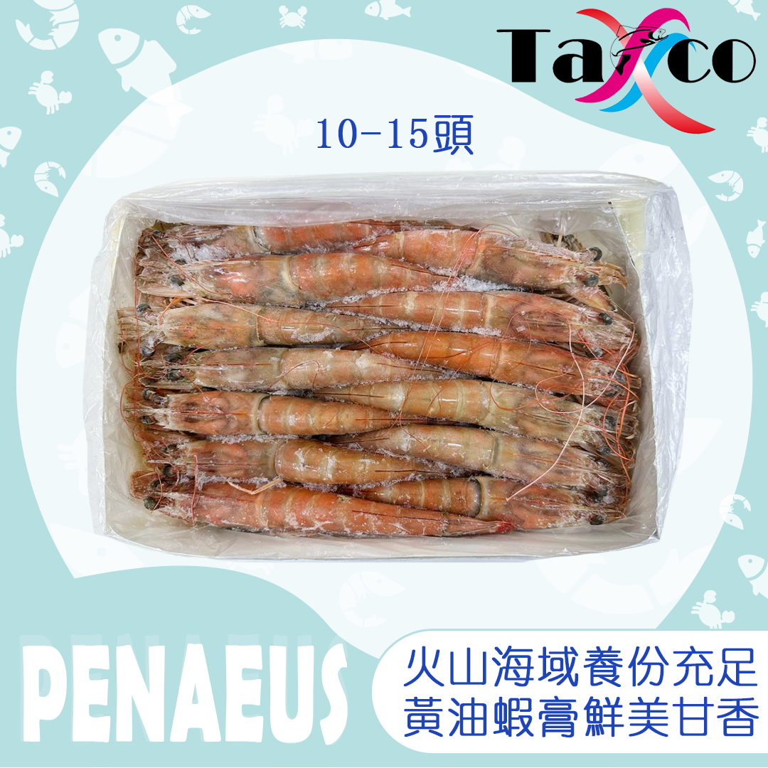 厄瓜多爾原隻野生棕蝦 10/15 (黃油蝦)