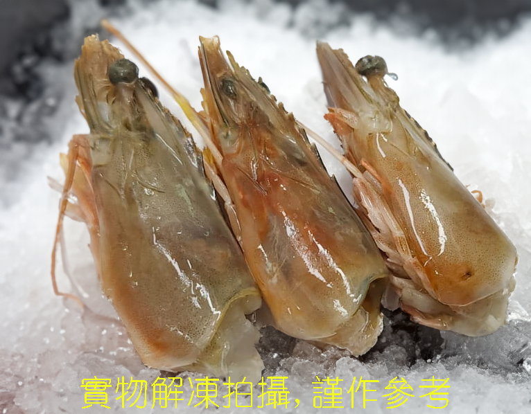 厄瓜多爾野生棕蝦頭 (1.9公斤)