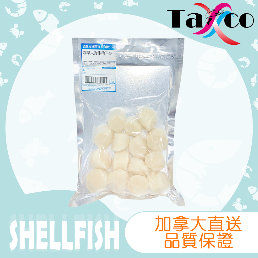 加拿大野生帶子20-30 (300克)